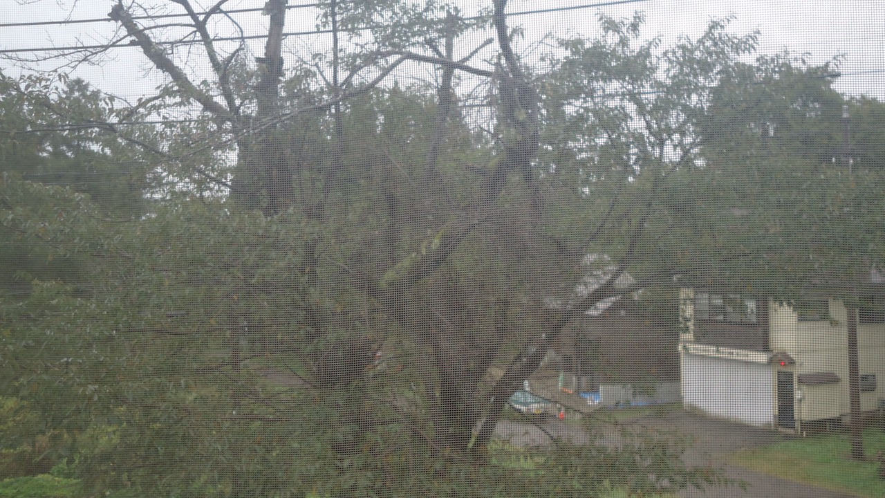 Photo of Bedroom in Myoko