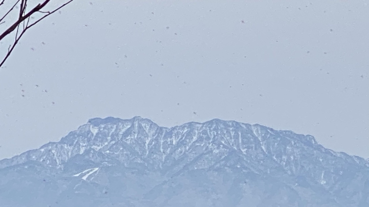 Photo of Outdoor in Saijo