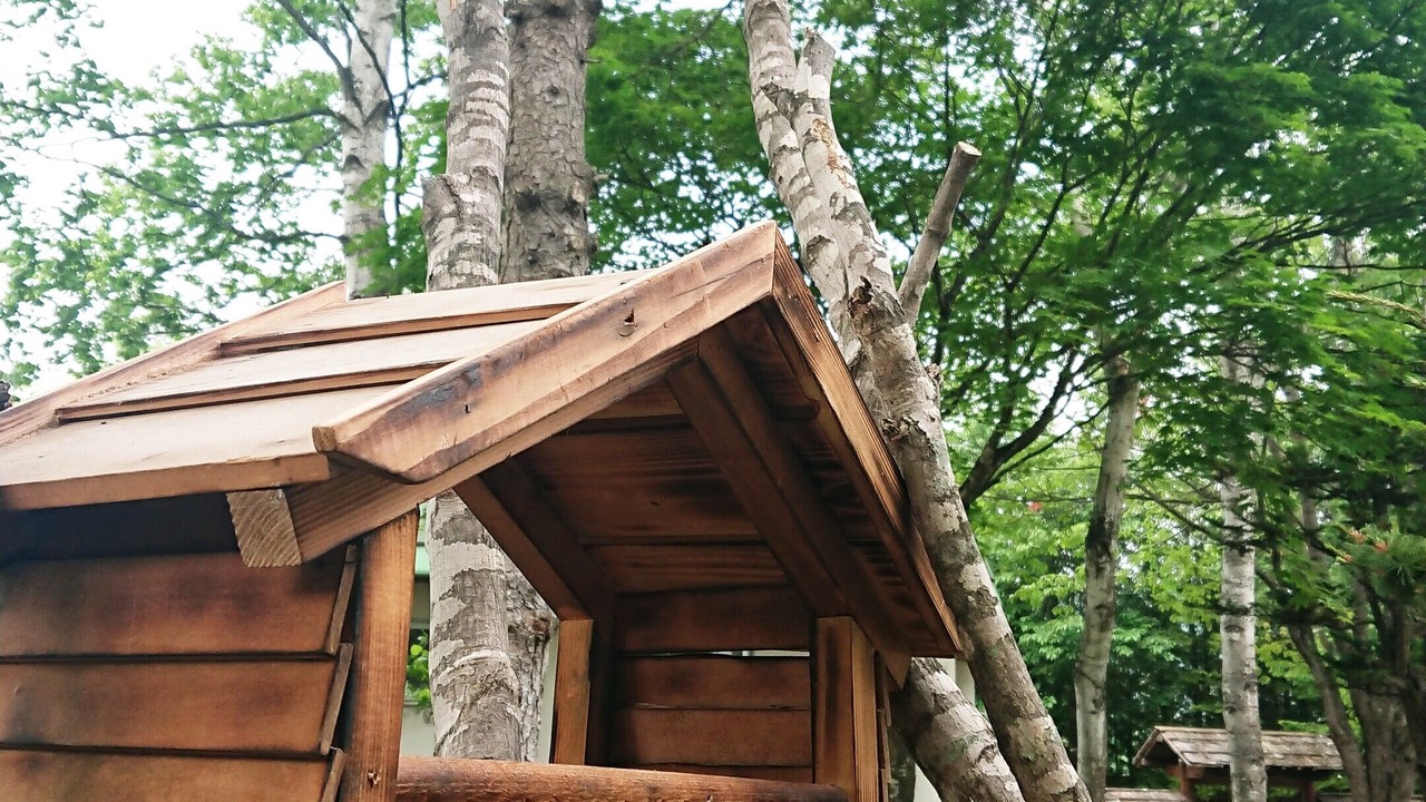 Photo of Outdoor in Obihiro