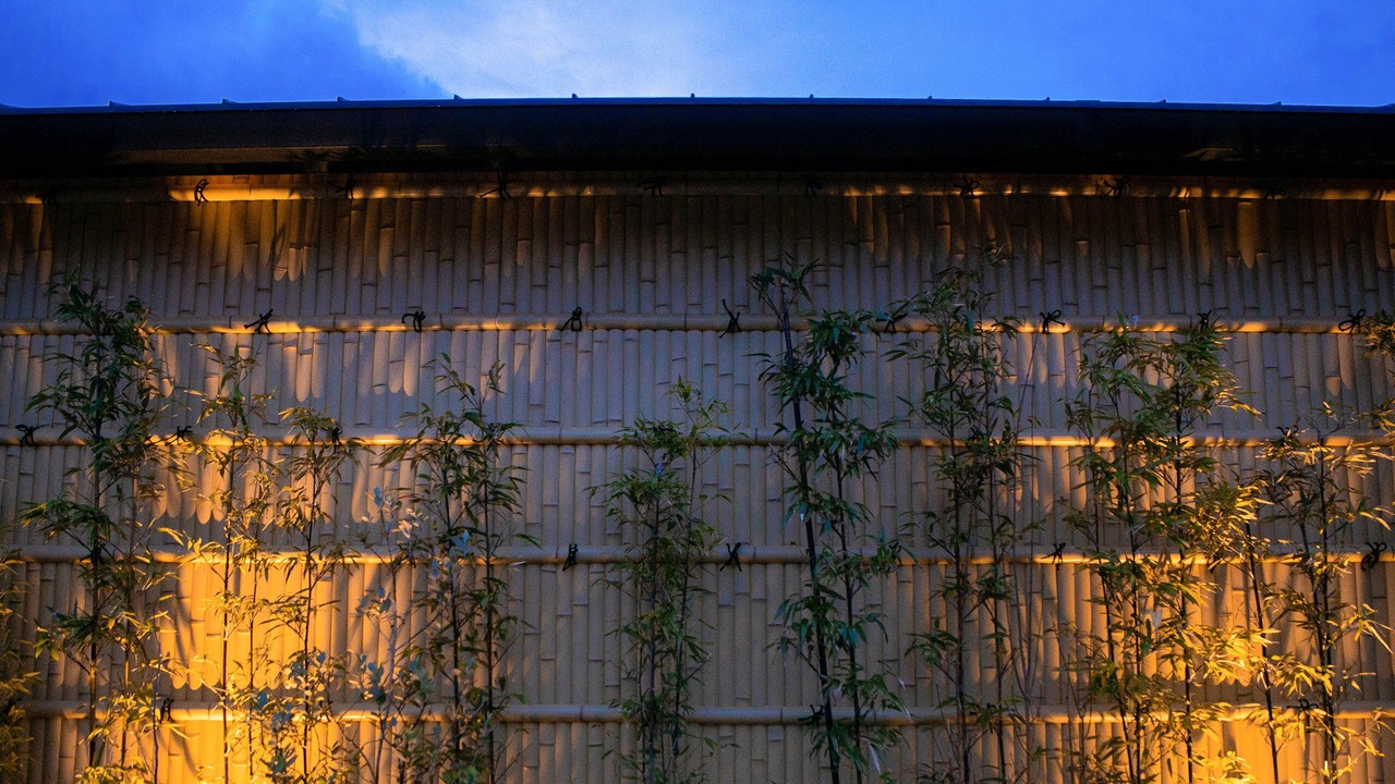 Photo of Outdoor in Aso