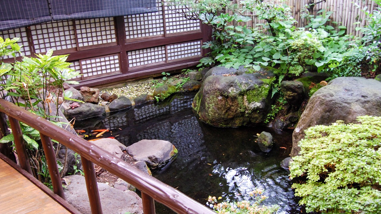 Photo of Outdoor in Aso