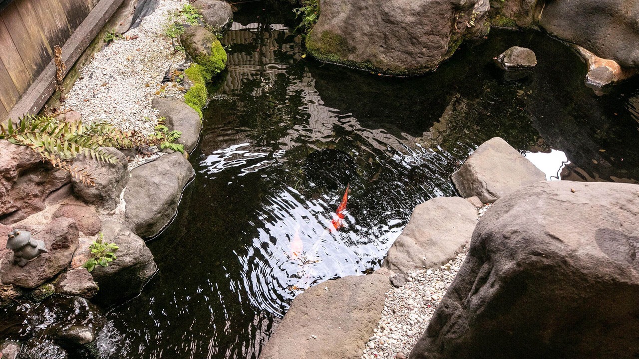Photo of Outdoor in Aso
