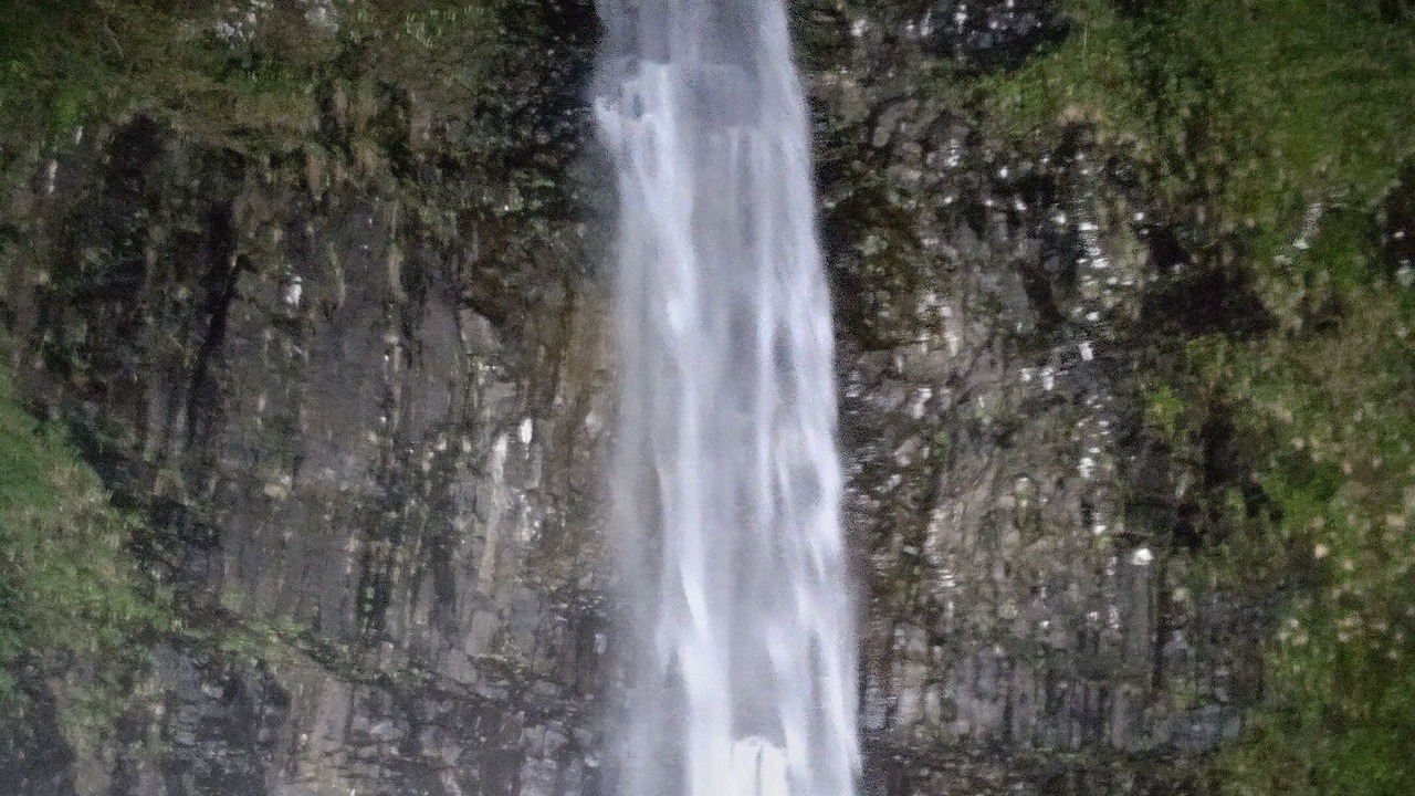 Photo of Others in Tsuruoka