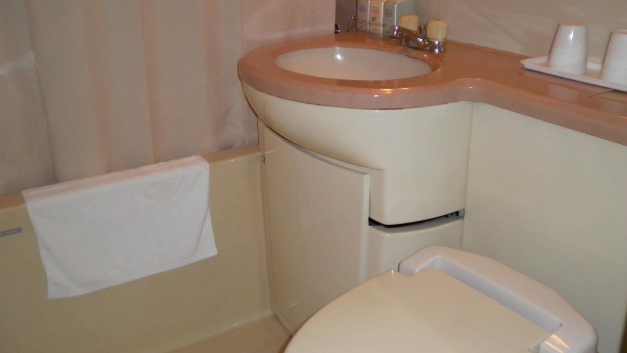 Photo of Bathroom in Kawasaki