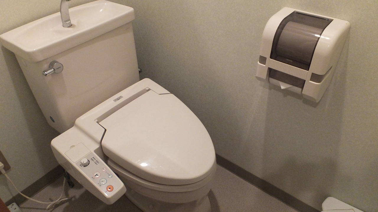 Photo of Bathroom in Akakura