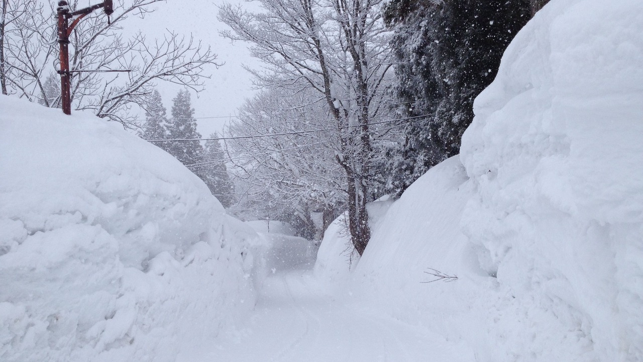 Photo of Outdoor in Akakura