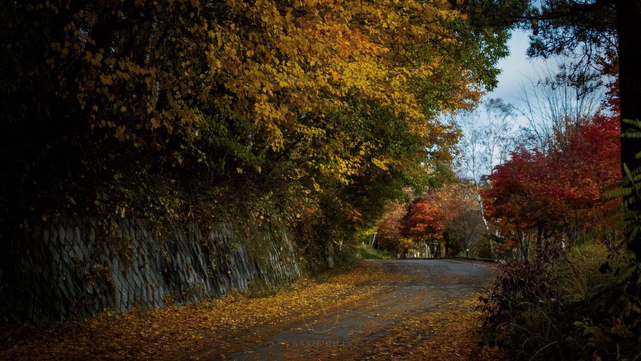 Photo of Outdoor in Tateshina