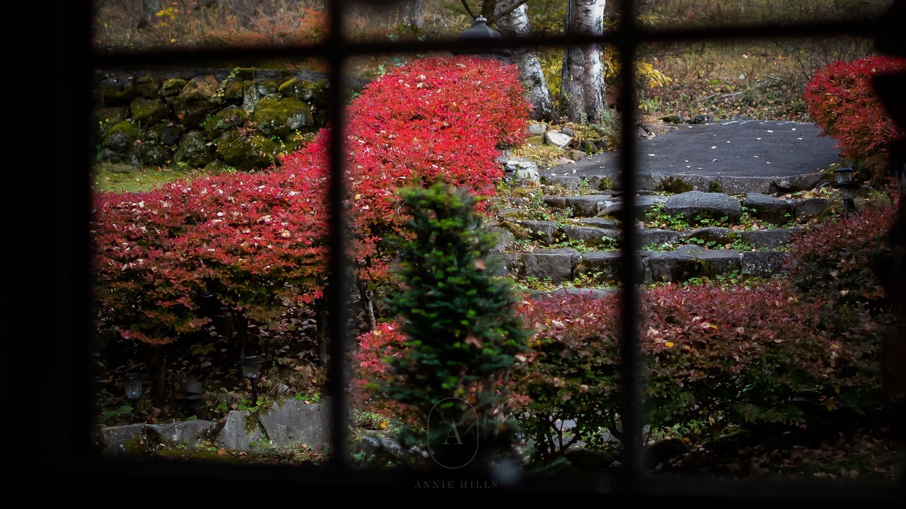 Photo of Outdoor in Tateshina