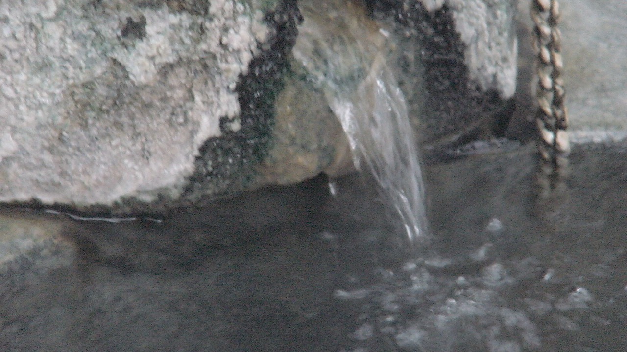 Photo of Others in Akakura