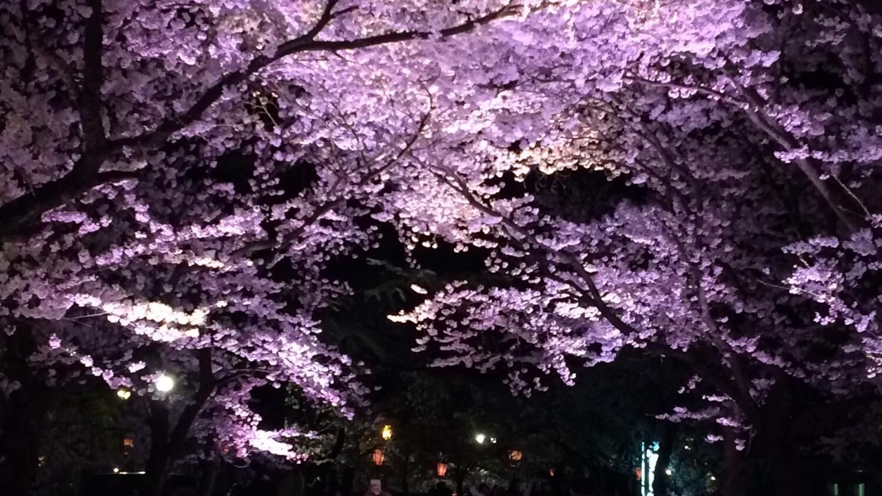Photo of Outdoor in Akakura