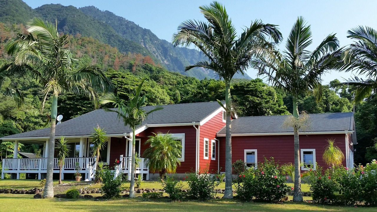 Photo of Outdoor in Yakushima