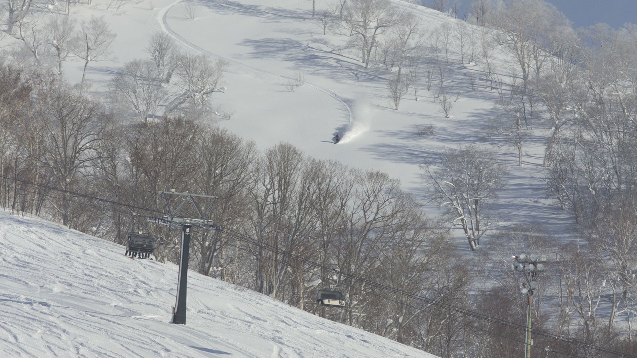 Photo of Others in Niseko