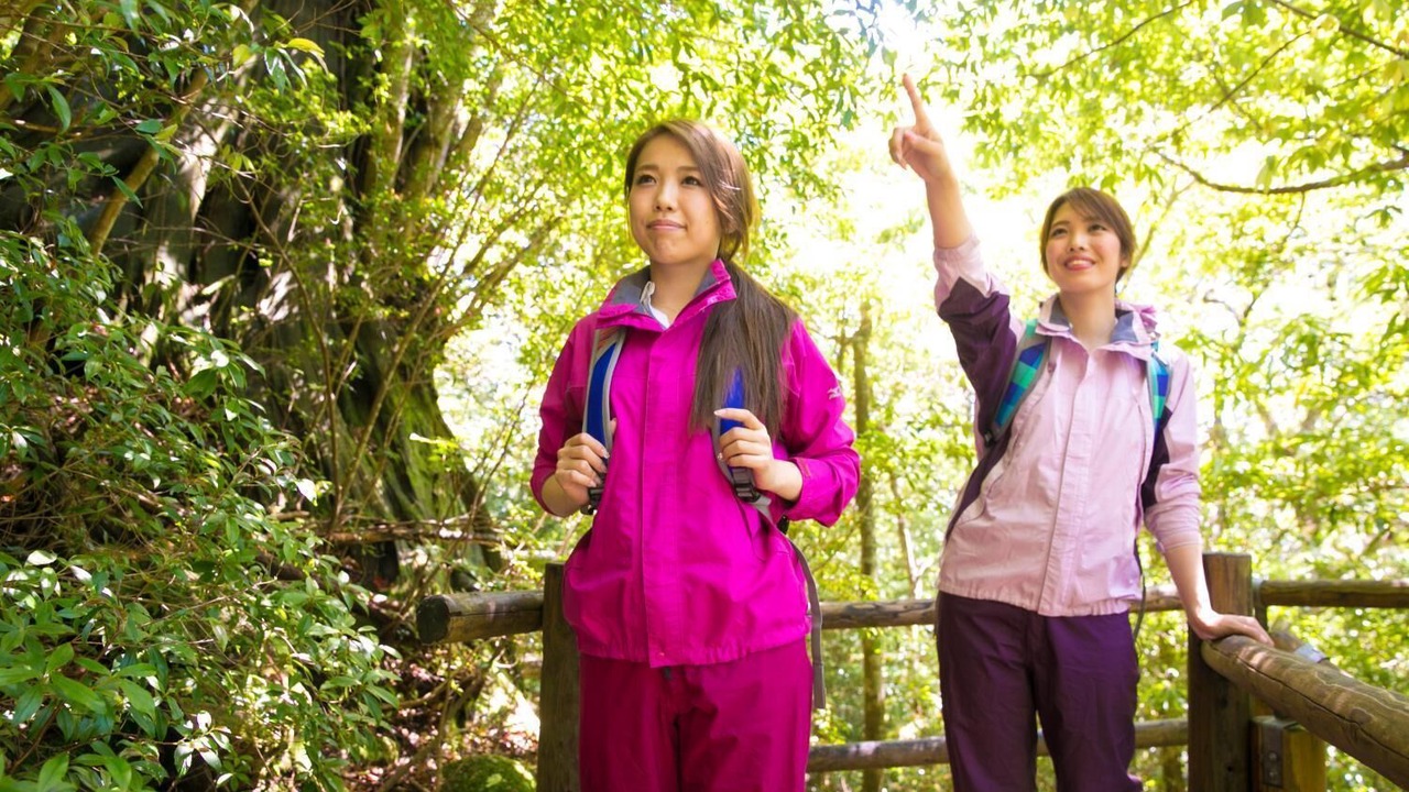 Photo of Outdoor in Miyanoura