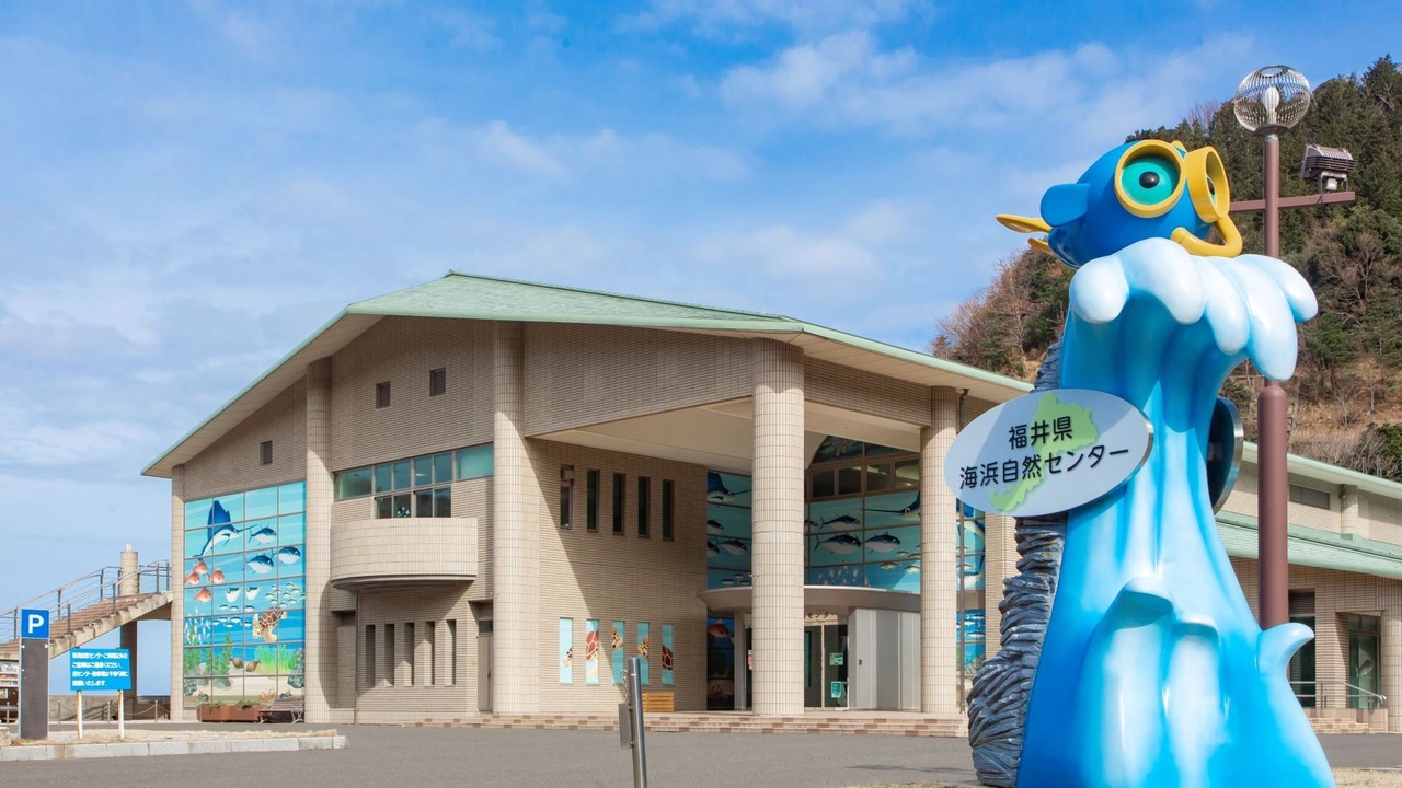 Photo of Others in Wakasa-cho