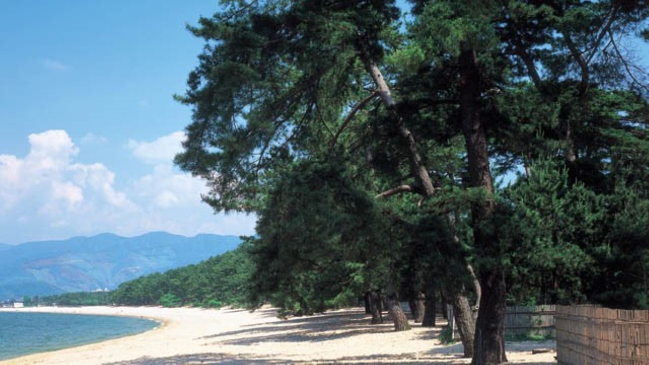 Photo of Others in Wakasa-cho