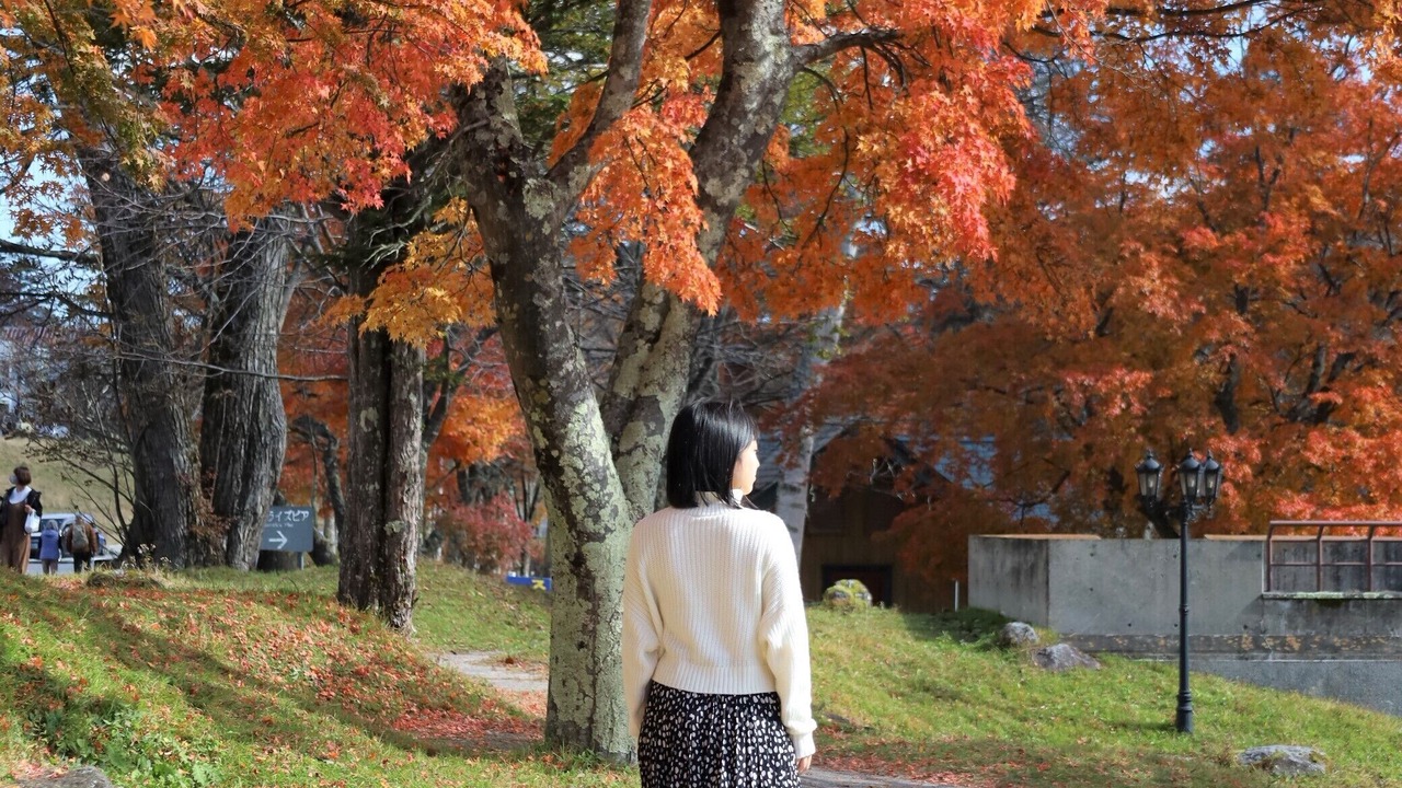 Photo of Outdoor in Nikko