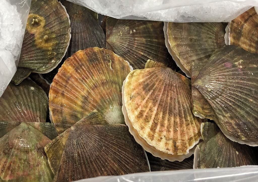 Photo of Others in Wakkanai