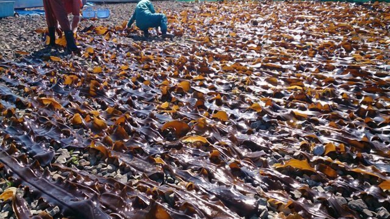 Photo of Others in Wakkanai