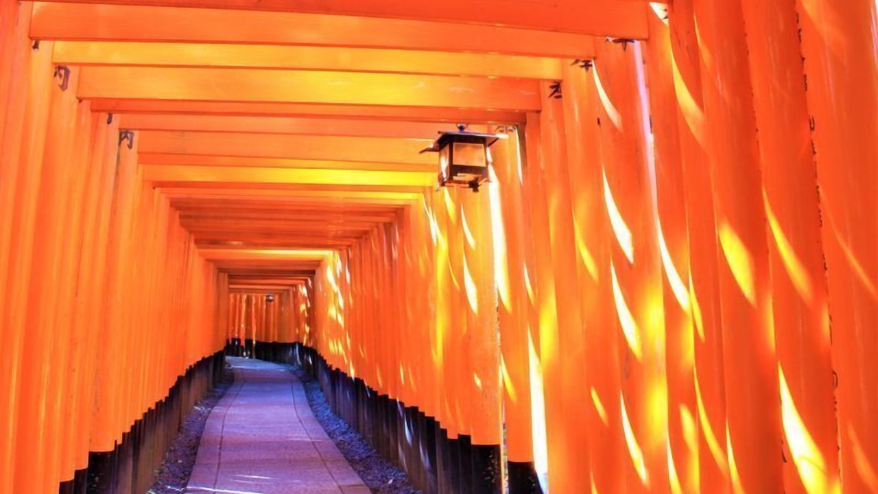 Photo of Others in Minami