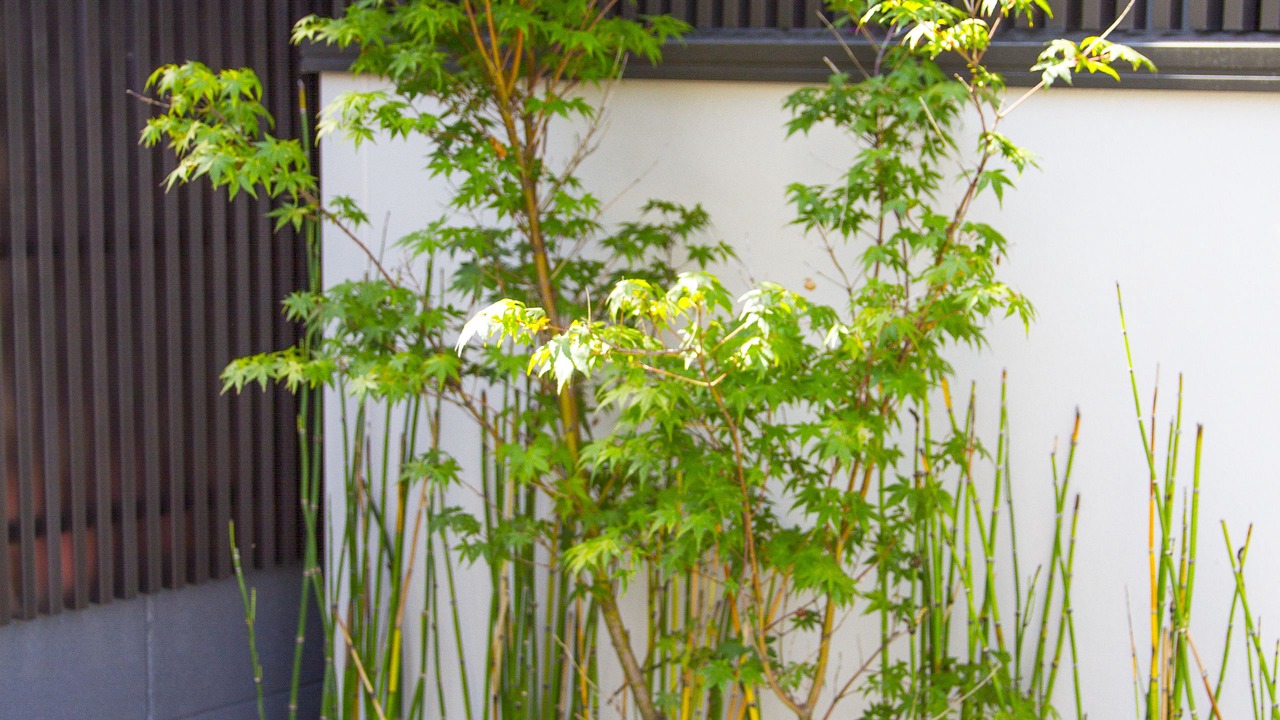 Photo of Outdoor in Minami