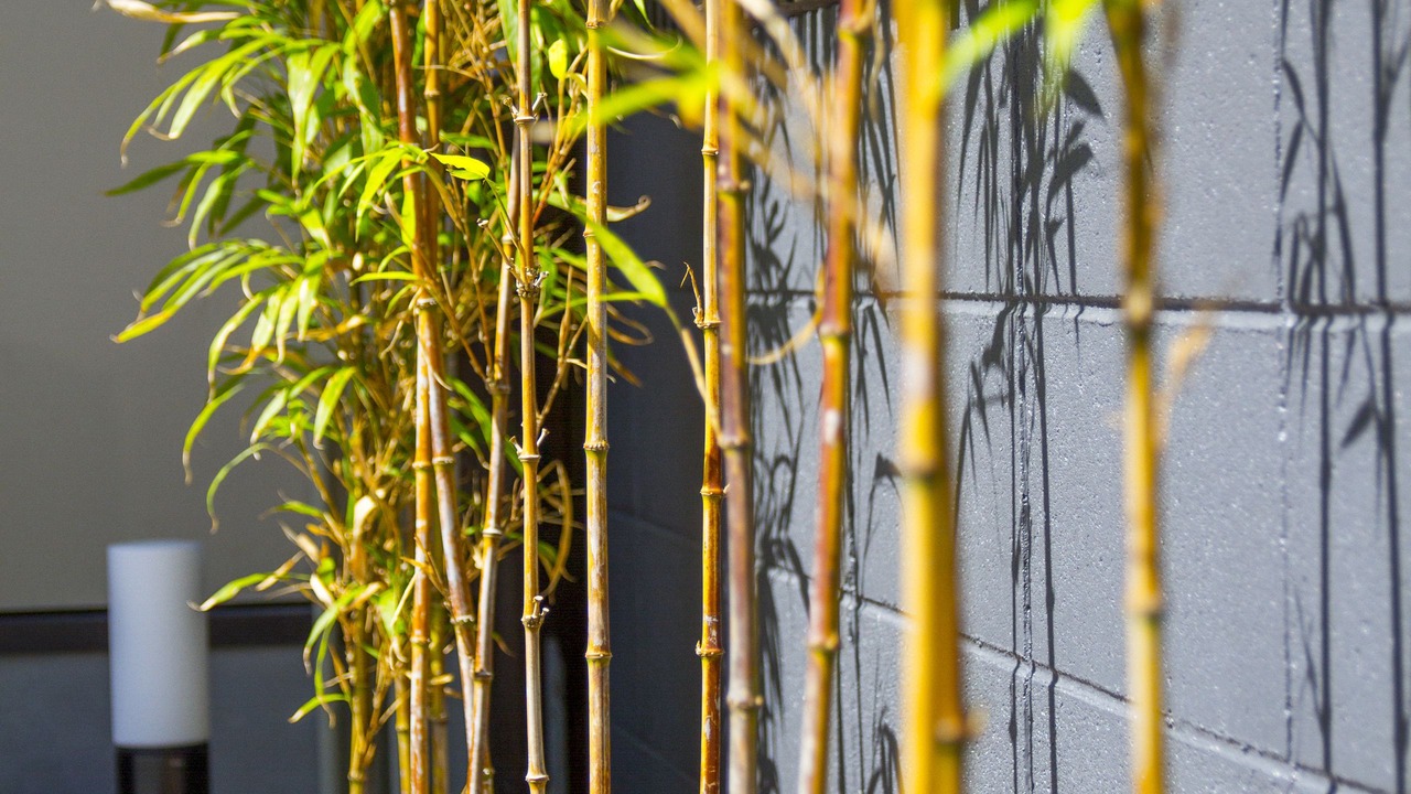 Photo of Outdoor in Minami