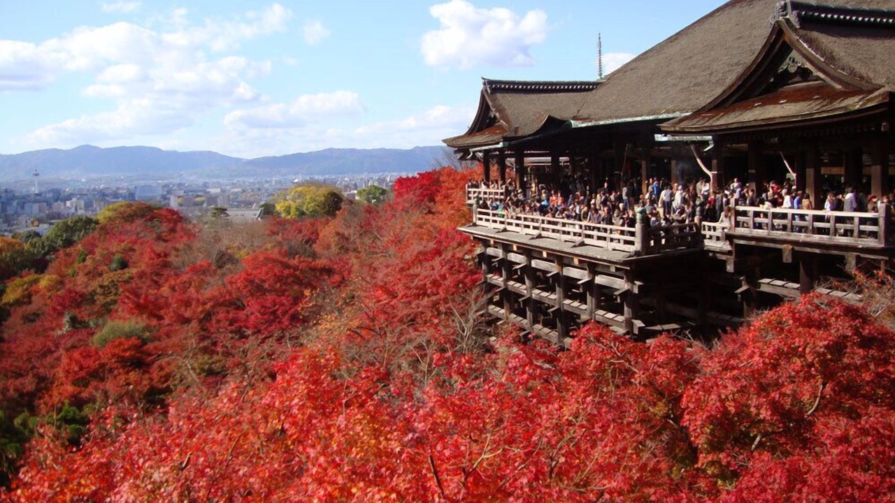 Photo of Others in Minami