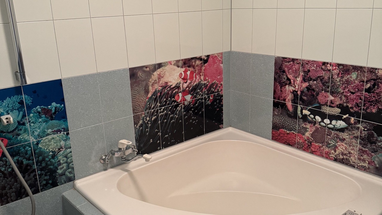 Photo of Bathroom in Isumi