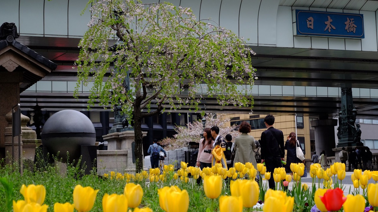 Photo of Others in Nihonbashimuromachi