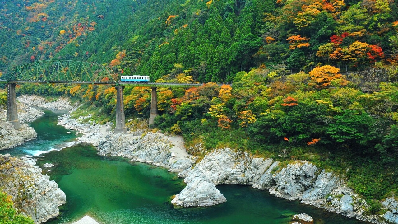 Photo of Others in Miyoshi
