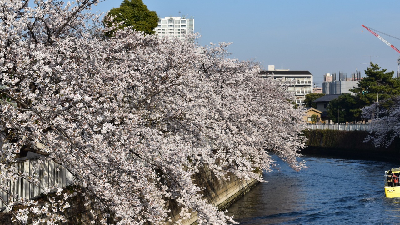 Photo of Outdoor in Shinagawa