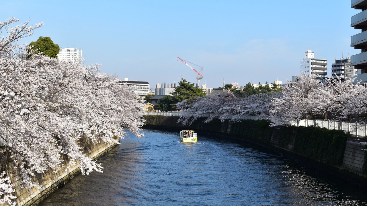 Photo of Others in Shinagawa