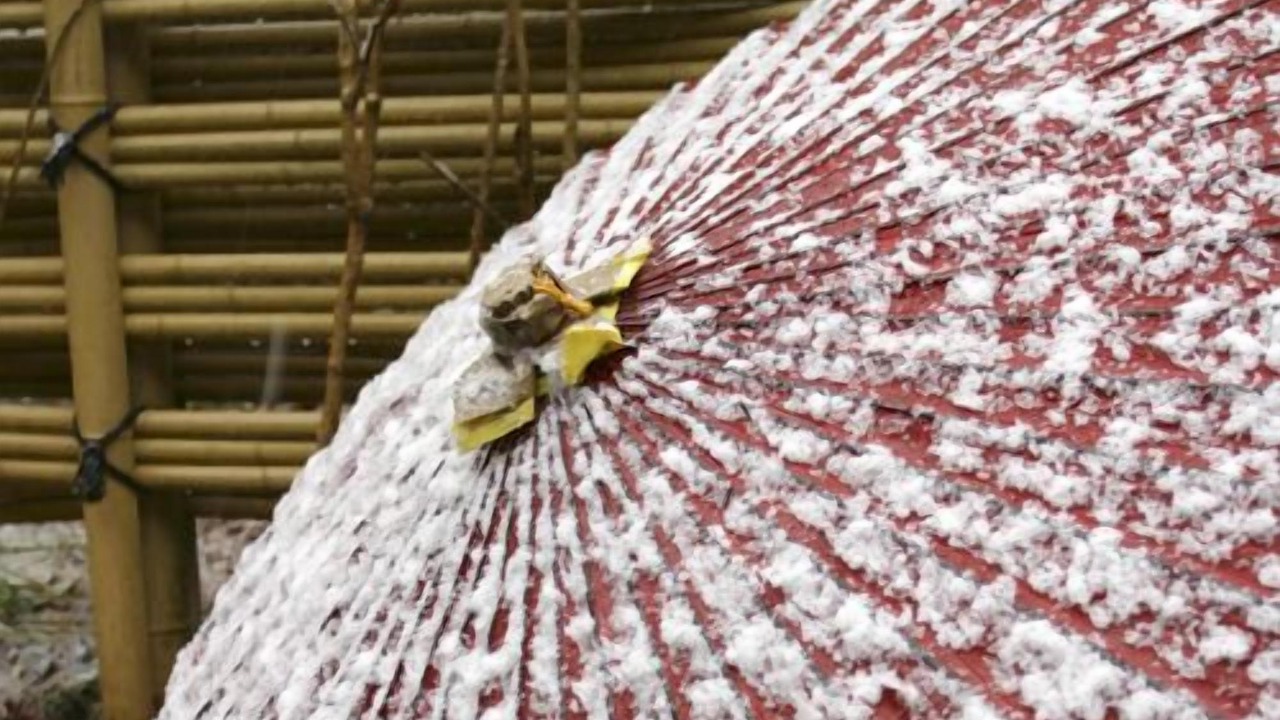 Photo of Others in Takanosu Onsen