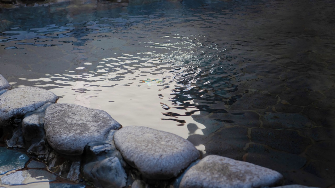 Photo of Outdoor in Shimogyo