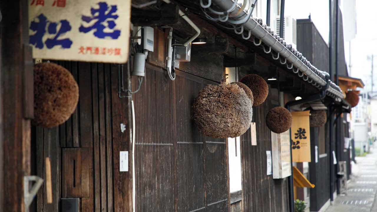 Photo of Others in Shiso