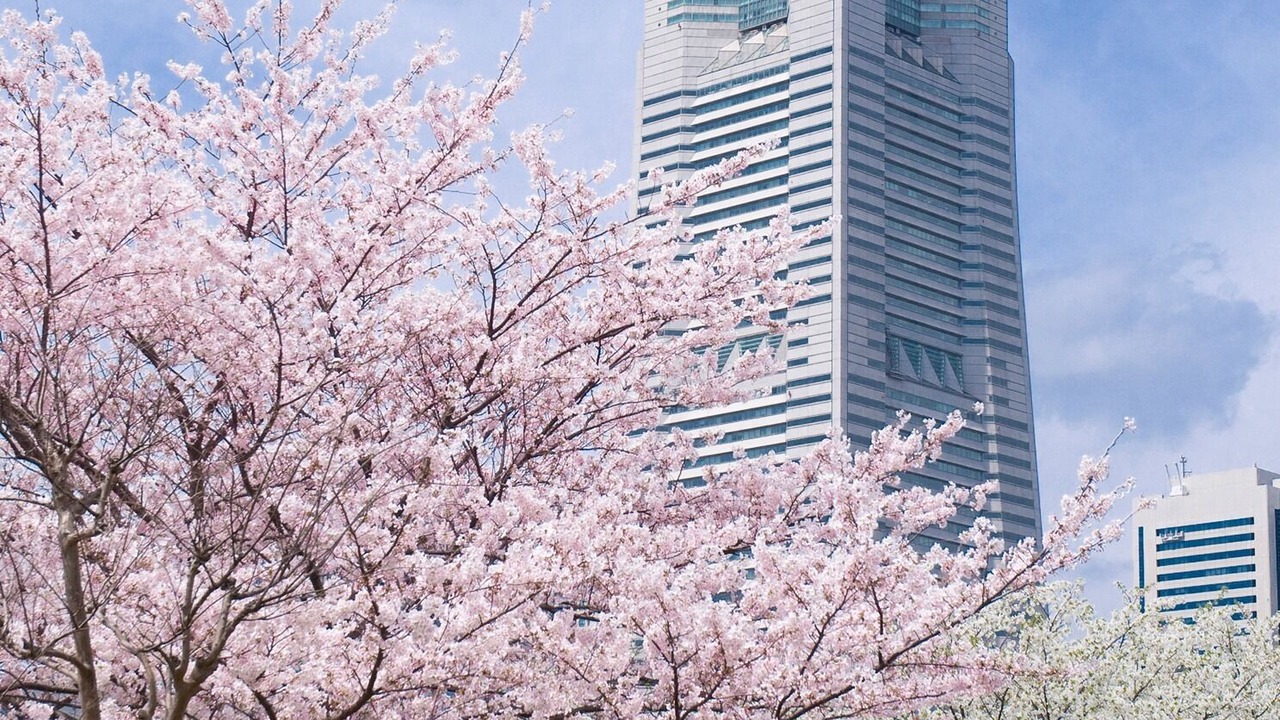 Photo of Others in Minato Mirai 21