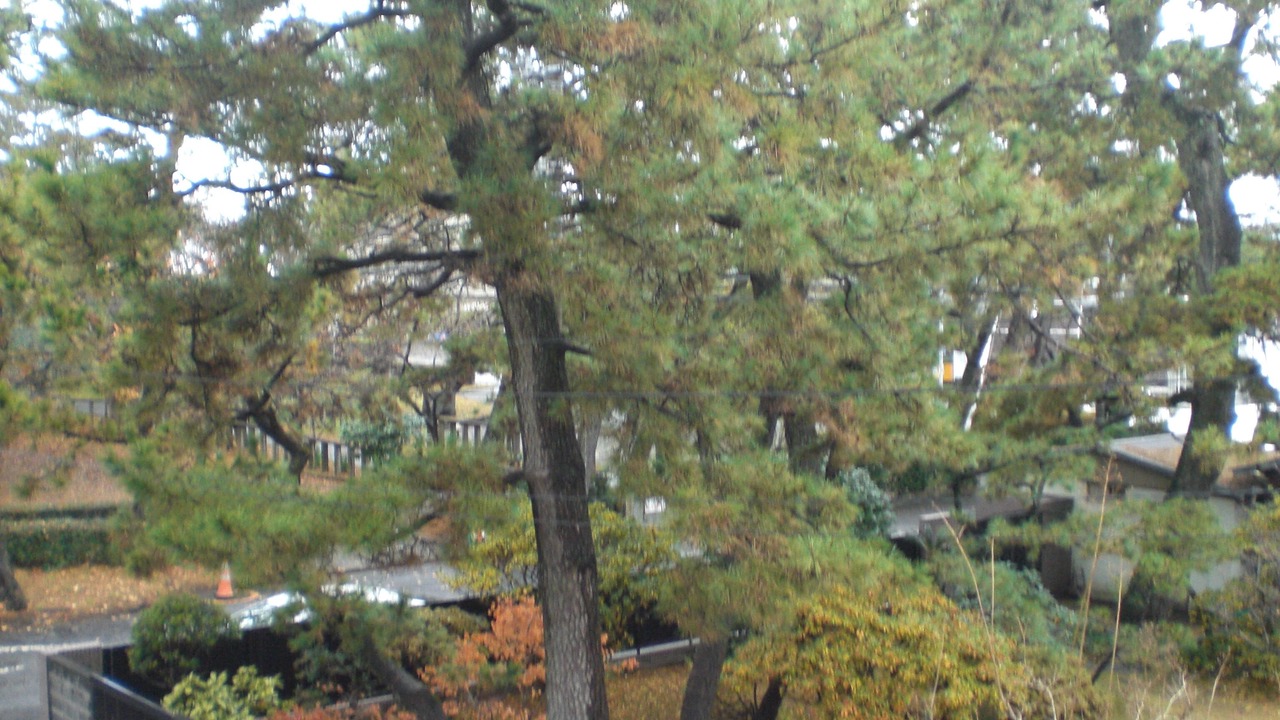 Photo of Bedroom in Numazu