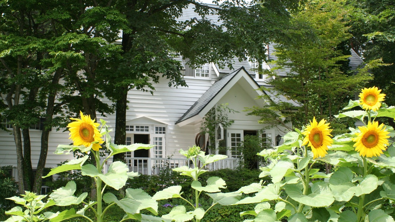 Photo of Outdoor in Hokuto