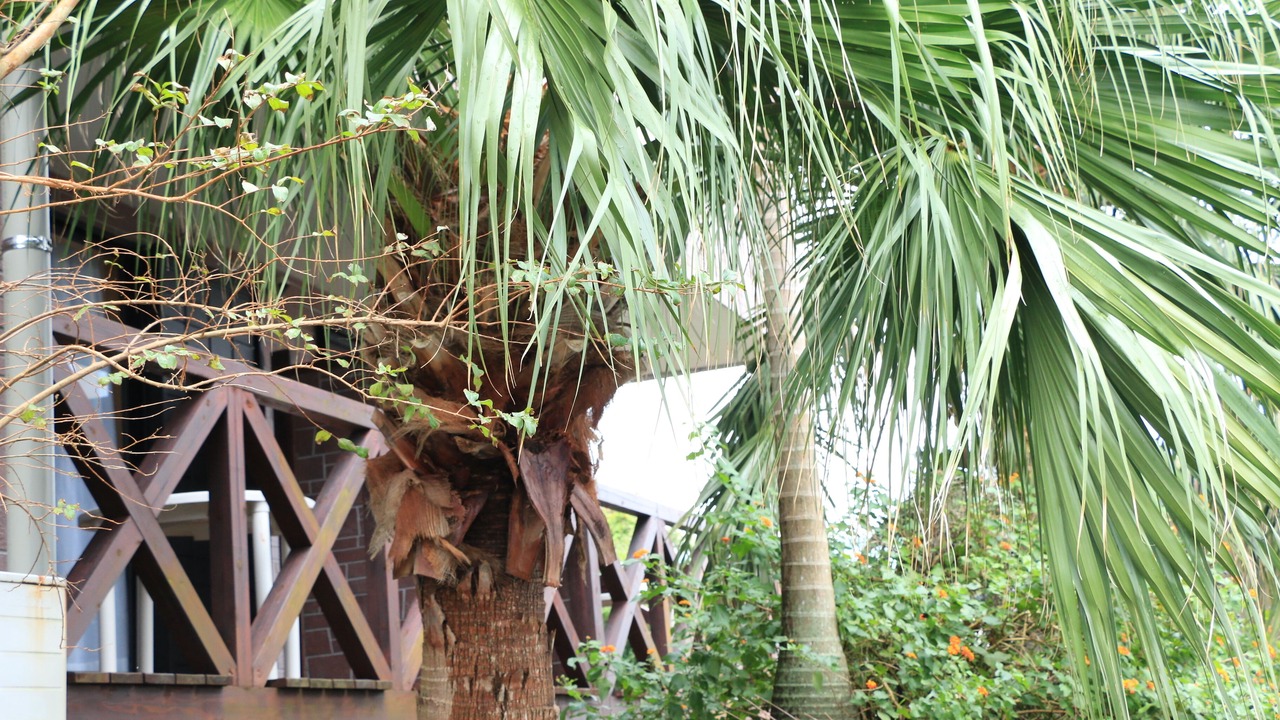 Photo of Outdoor in Miyanoura