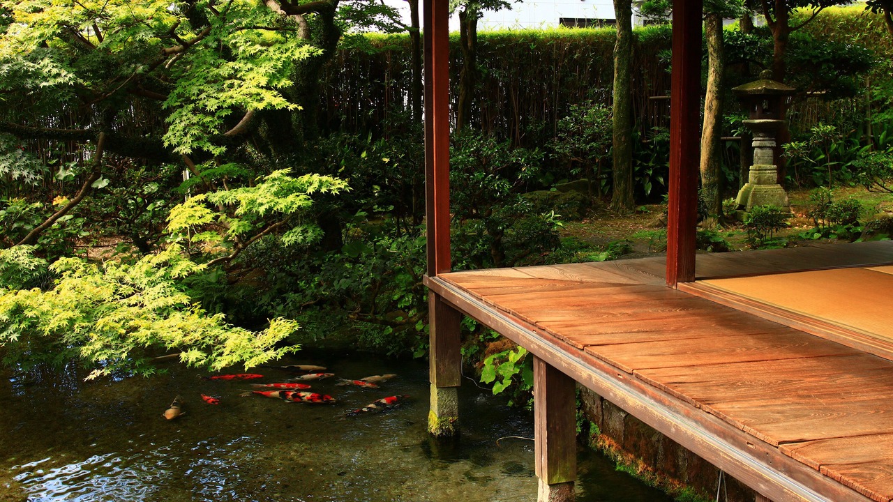 Photo of Others in Unzen