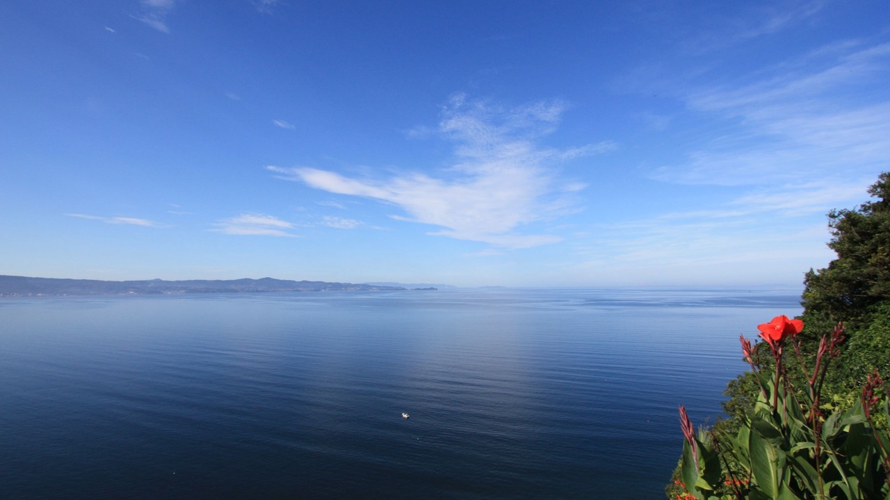 Photo of Others in Unzen