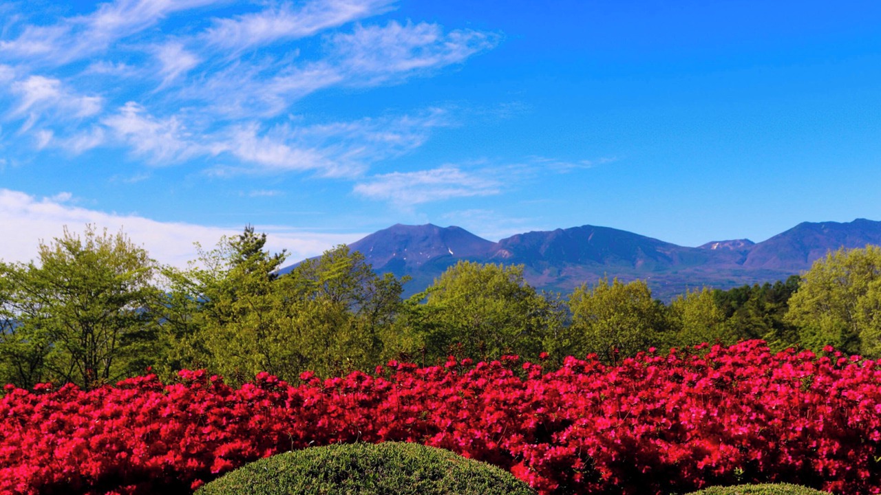 Photo of Outdoor in Mihara