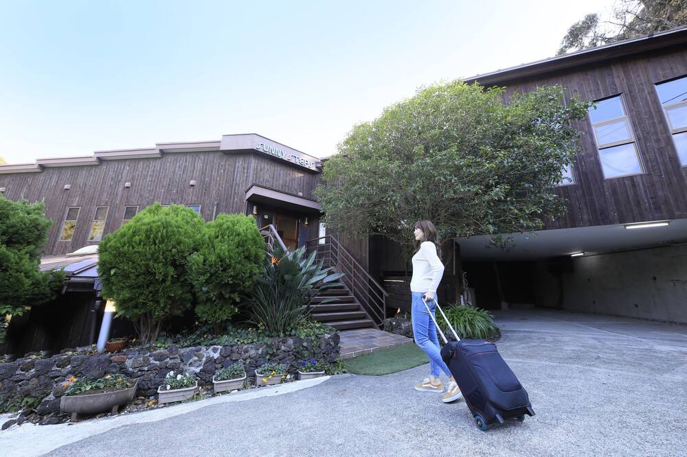 Photo of Outdoor in Shirahama