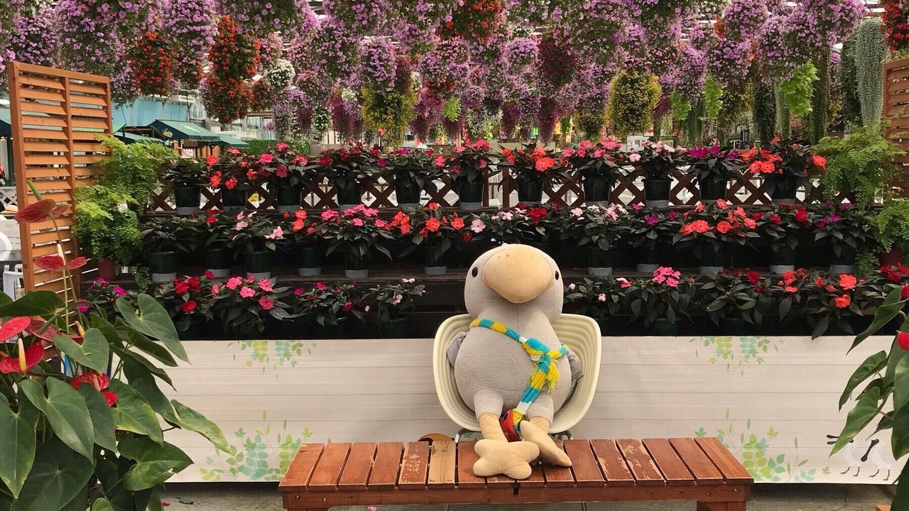 Photo of Others in Kakegawa