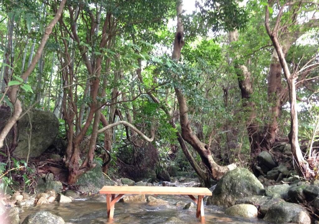 Photo of Outdoor in Haru