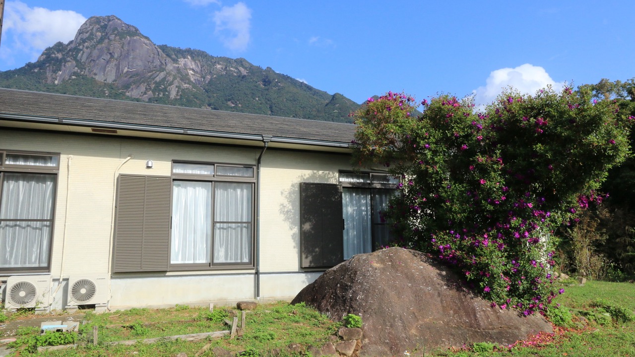 Photo of Outdoor in Haru