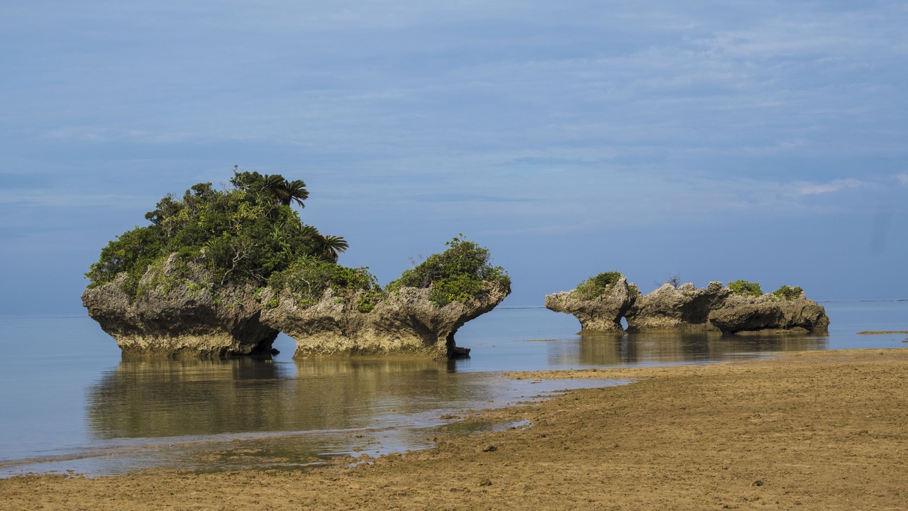 Photo of Others in Iriomote-jima Taketomi-cho