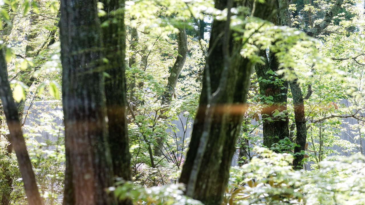 Photo of Outdoor in Yufuin Onsen