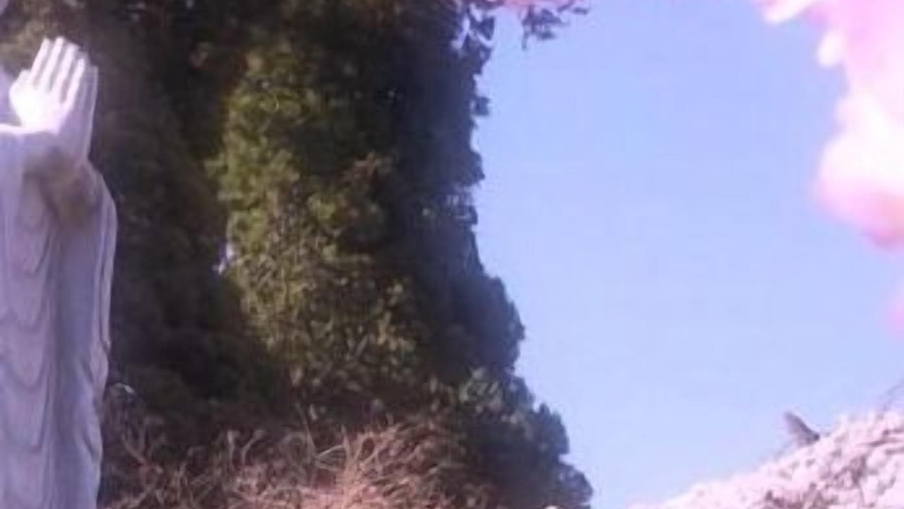 Photo of Outdoor in Tateshina