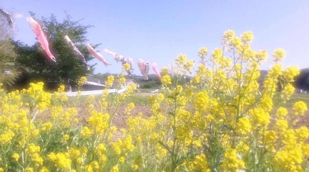 Photo of Outdoor in Tateshina