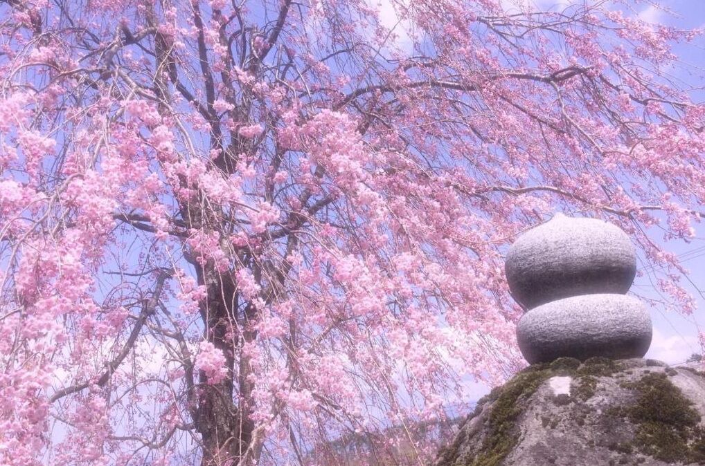 Photo of Outdoor in Tateshina